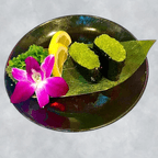 Best Wasabi in Gambrills, MD